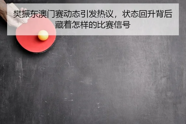 樊振东澳门赛动态引发热议，状态回升背后藏着怎样的比赛信号
